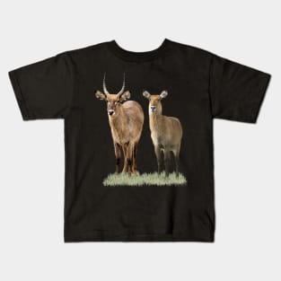 Bushbuck pair - Antelope in Africa Kids T-Shirt